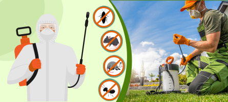 Emergency Pest Control Elwood